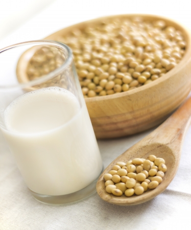Non GMO Soy in America
