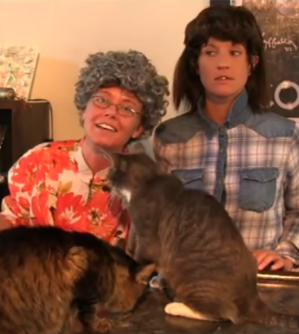 Cats GALORE!