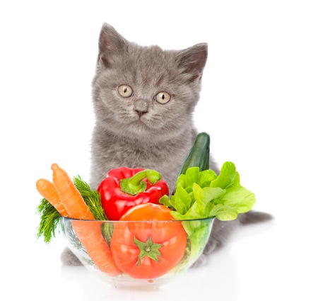 The Benefits of Antioxidants
