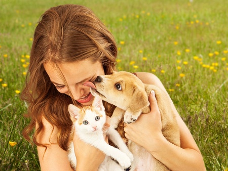 The Difference Between Cat People and Dog People
