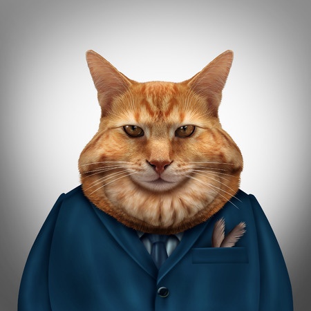 What A Cat For President Really Looks Like