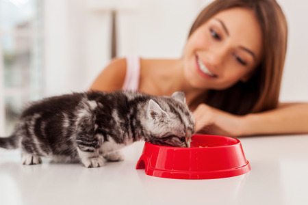 How To Feed Cats Fresh/Raw Food In 2 Easy Steps