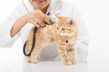 Are Health Conscious Pet Parents Jaded By Veterinarians?