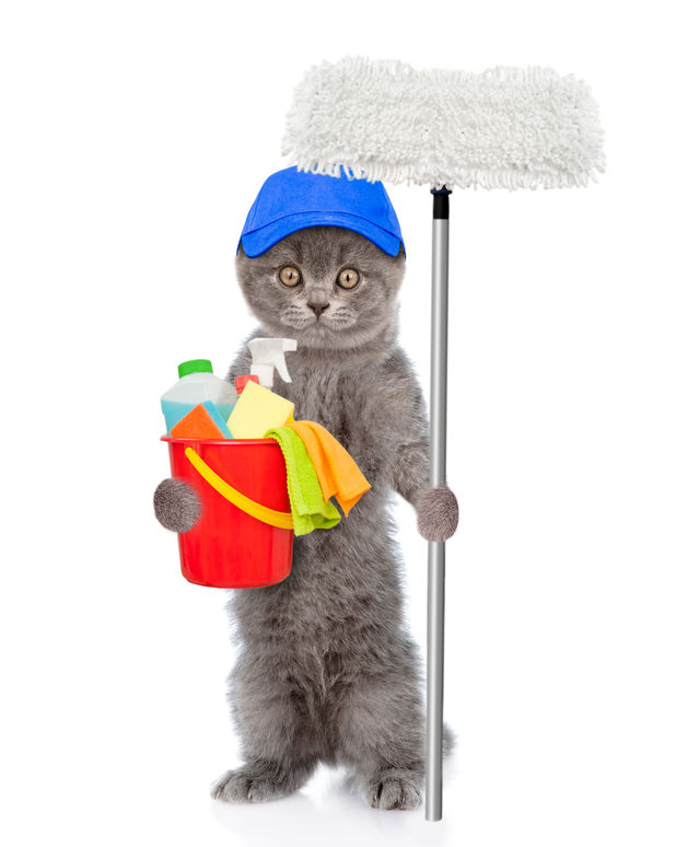 Insanely Cheap And Safe Cleaner You Can Make Yourself
