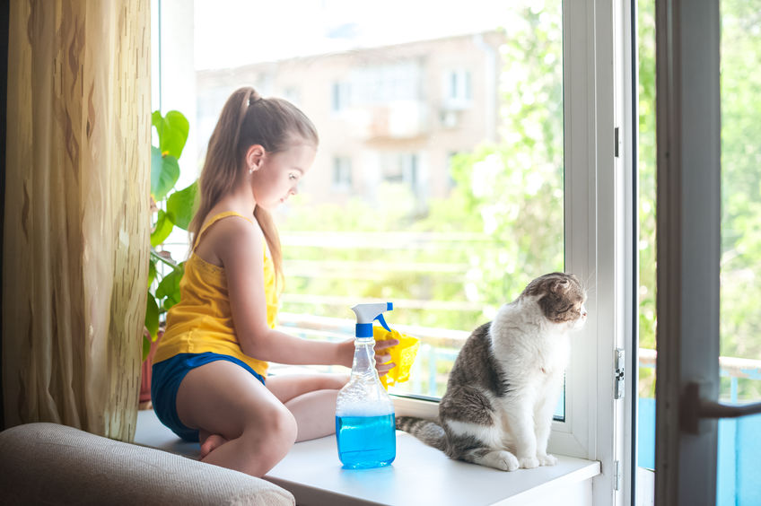 DIY Safe Natural Glass Cleaner