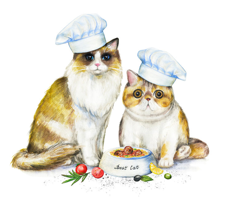 Easy Gourmet DIY Cat Food Recipe