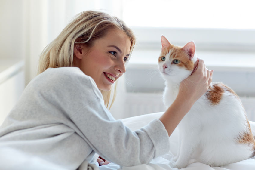 Are You A Cat Owner Or A Cat Parent?