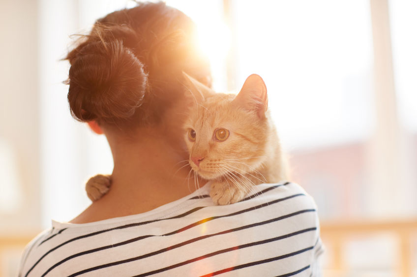 Help For Cats With Cancer