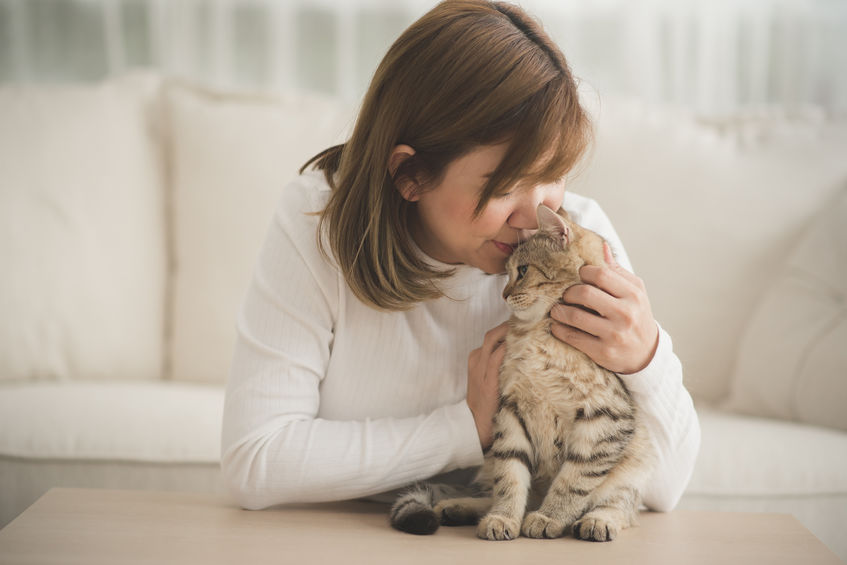 Is A Cat Considered A Pet?