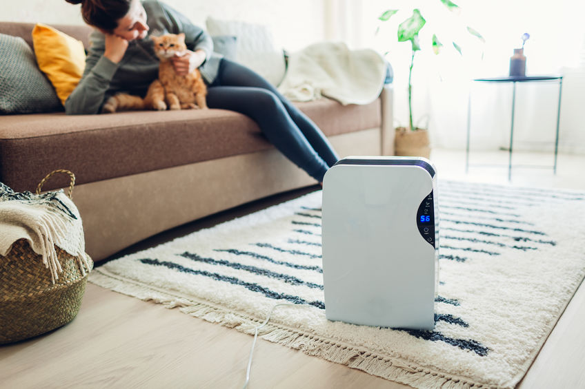 Is Your Best Enough For Your Cats?