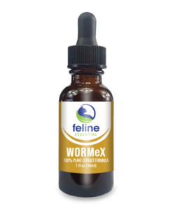 Worm eX