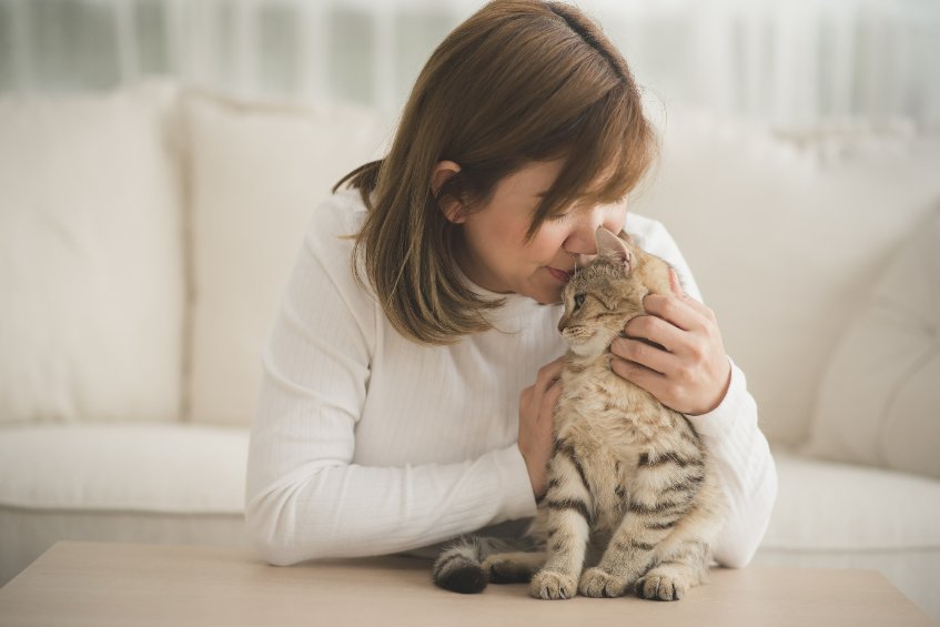 Why Should My Cats Love Me?