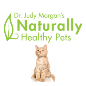 Dr. Judy Morgan