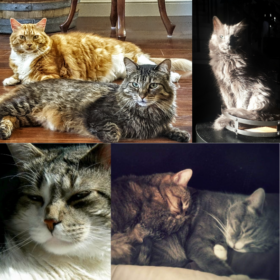 Our Angels