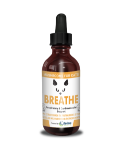 Breathe